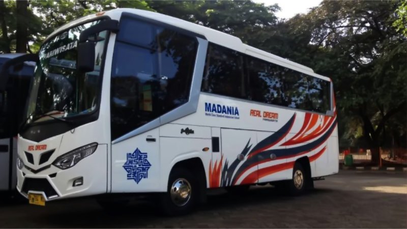 Bus Pariwisata Real Dream