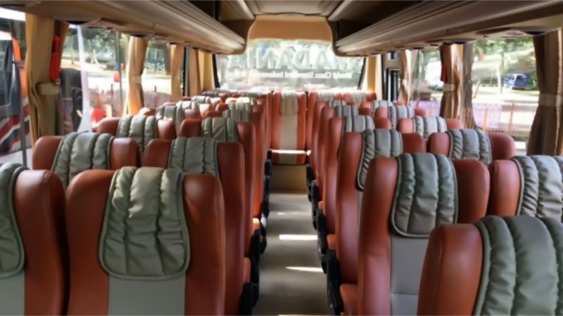 Bus Pariwisata Real Dream