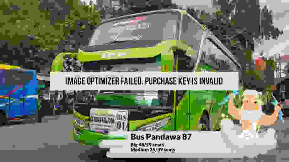 Pandawa: Lebih dari Sekadar Bus Pariwisata, Sebuah Pengalaman Perjalanan yang Tak Terlupakan